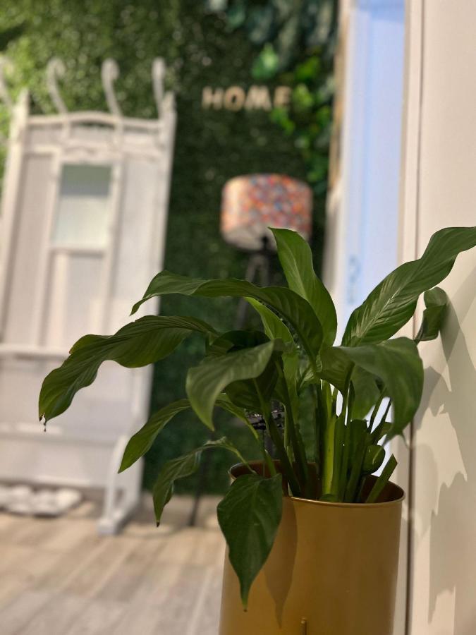 Sweet Home Apartament Предеал Екстериор снимка
